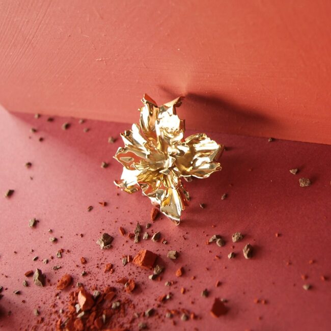 BROCHE / PIN'S