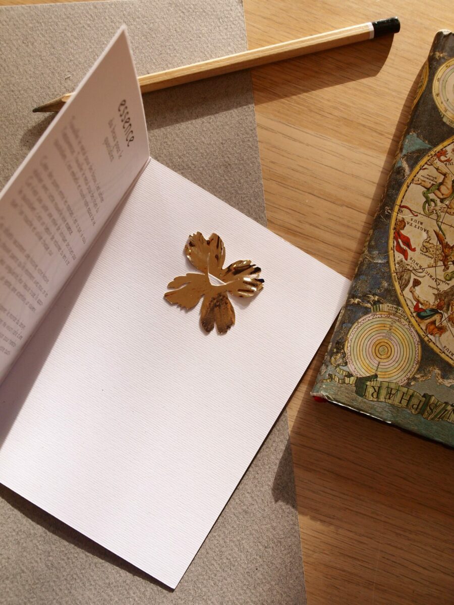 Marque page Pivoine