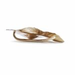 bijou d'oreille earjacket