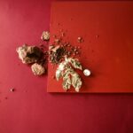 pins feuille pivoine shima