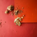 pins feuille pivoine shima