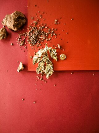 pins feuille pivoine shima