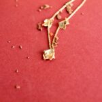 collier pétales Coral