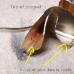 Jonc Purse – Image 9